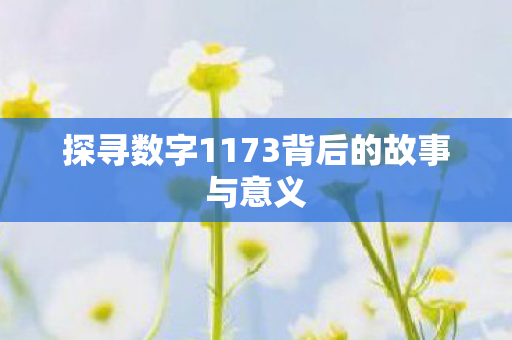 探寻数字1173背后的故事与意义 探寻数字1173背后的故事与意义