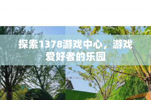 探索1378游戏中心，游戏爱好者的乐园