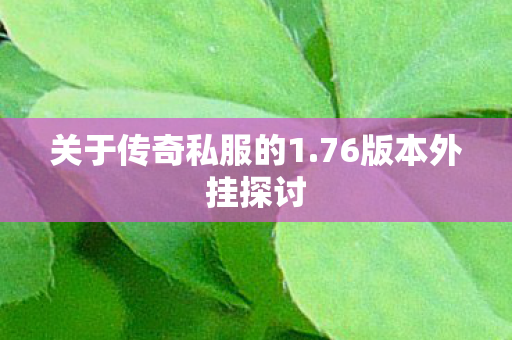 关于传奇私服的1.76版本外挂探讨 关于传奇私服的1.76版本外挂探讨