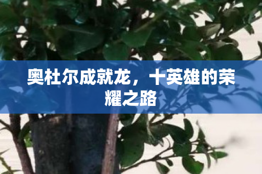 奥杜尔成就龙,十英雄的荣耀之路 奥杜尔成就龙,十英雄的荣耀之路