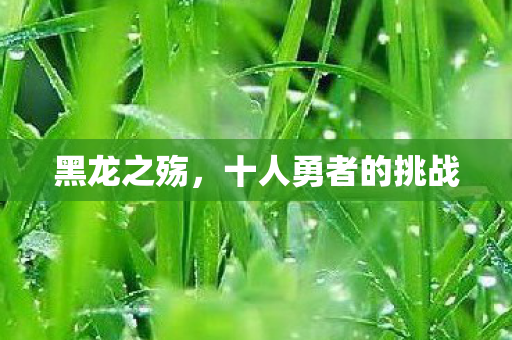 黑龙之殇,十人勇者的挑战 黑龙之殇,十人勇者的挑战