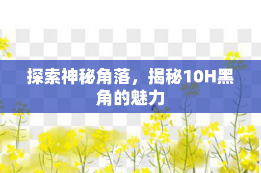 探索神秘角落,揭秘10H黑角的魅力 探索神秘角落,揭秘10H黑角的魅力