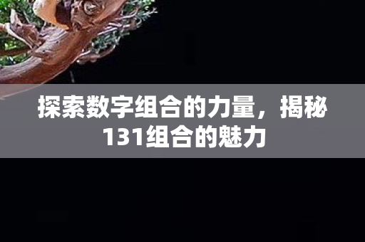 探索数字组合的力量，揭秘131组合的魅力