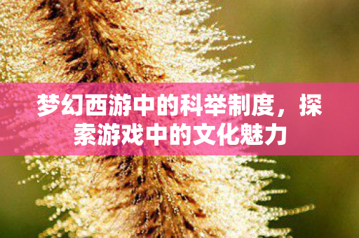 梦幻西游中的科举制度，探索游戏中的文化魅力
