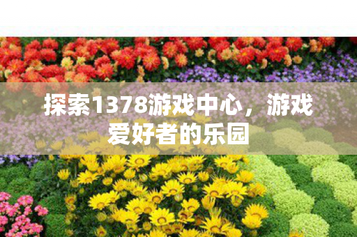 探索1378游戏中心，游戏爱好者的乐园