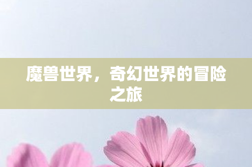 魔兽世界，奇幻世界的冒险之旅