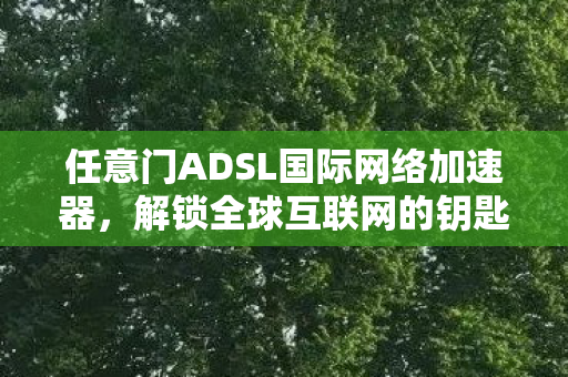 任意门ADSL国际网络加速器，解锁全球互联网的钥匙