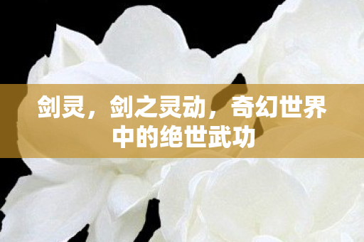 剑灵，剑之灵动，奇幻世界中的绝世武功