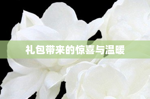 礼包带来的惊喜与温暖 礼包带来的惊喜与温暖