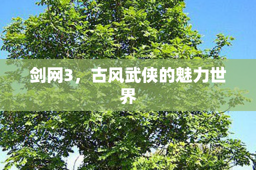 剑网3，古风武侠的魅力世界