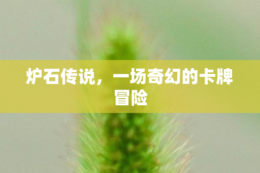 炉石传说，一场奇幻的卡牌冒险