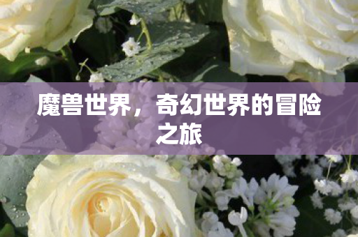 魔兽世界，奇幻世界的冒险之旅