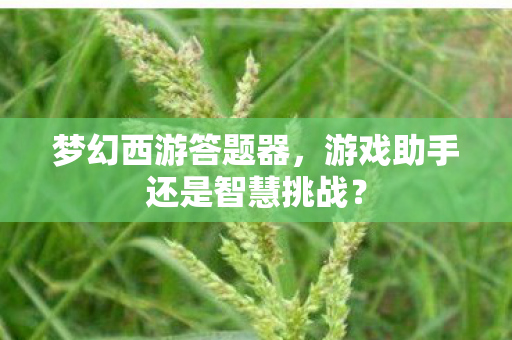梦幻西游答题器，游戏助手还是智慧挑战？