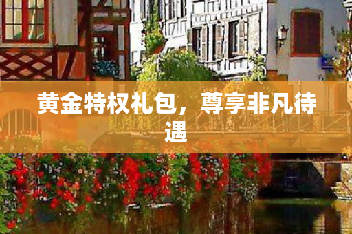 黄金特权礼包,尊享非凡待遇 黄金特权礼包,尊享非凡待遇