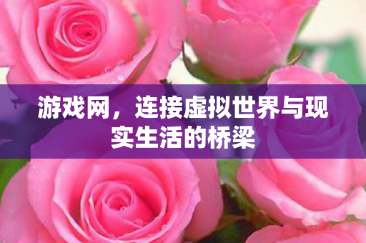 游戏网，连接虚拟世界与现实生活的桥梁
