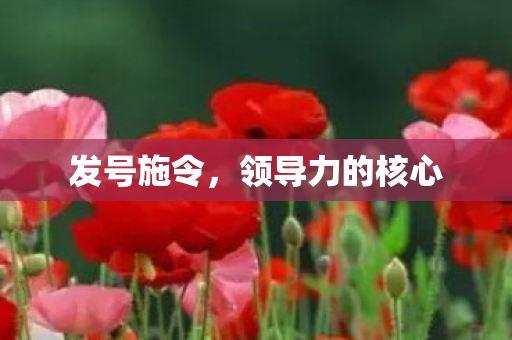 发号施令，领导力的核心