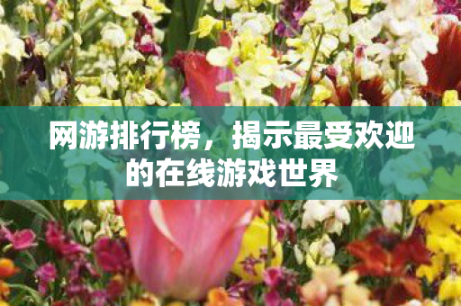 网游排行榜，揭示最受欢迎的在线游戏世界