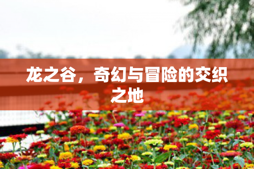 龙之谷，奇幻与冒险的交织之地