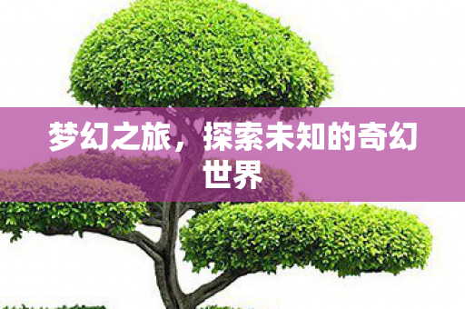 梦幻之旅，探索未知的奇幻世界