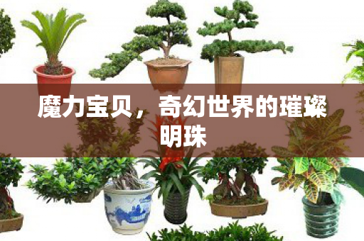 魔力宝贝,奇幻世界的璀璨明珠 魔力宝贝,奇幻世界的璀璨明珠