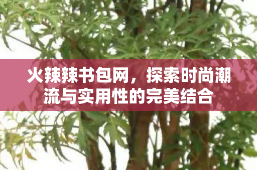 火辣辣书包网,探索时尚潮流与实用性的完美结合 火辣辣书包网,探索时尚潮流与实用性的完美结合