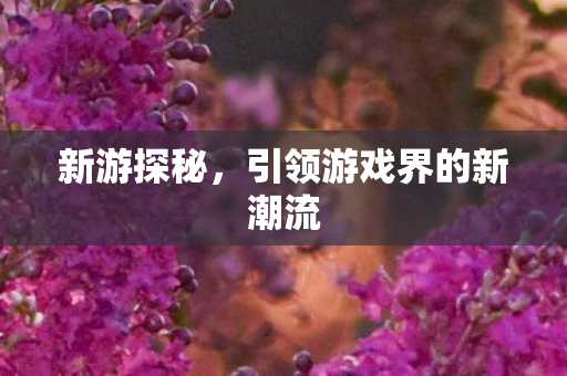 新游探秘，引领游戏界的新潮流