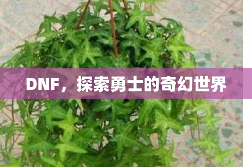 DNF，探索勇士的奇幻世界