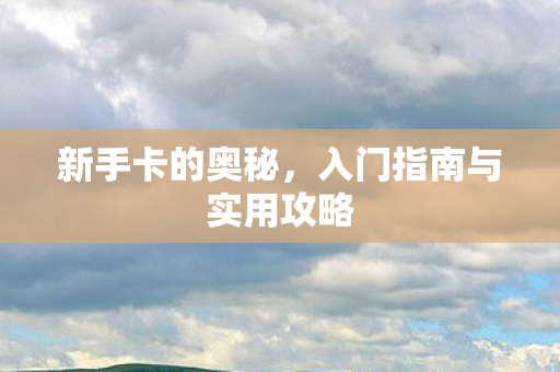新手卡的奥秘，入门指南与实用攻略