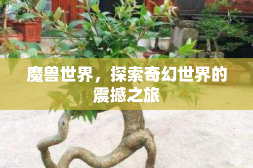 魔兽世界，探索奇幻世界的震撼之旅