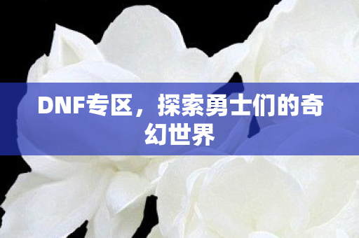 DNF专区，探索勇士们的奇幻世界