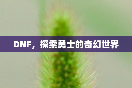 DNF，探索勇士的奇幻世界
