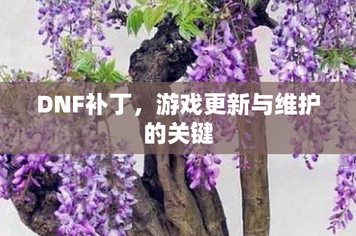 DNF补丁，游戏更新与维护的关键