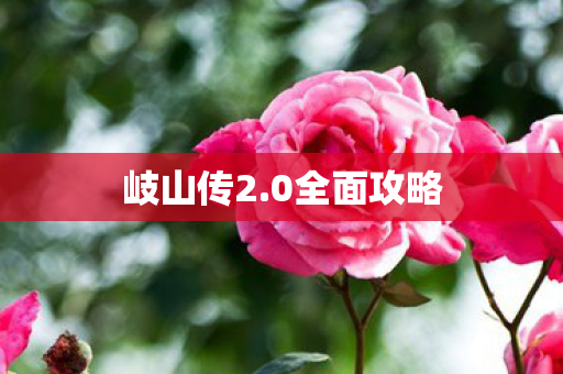 岐山传2.0全面攻略 岐山传2.0全面攻略