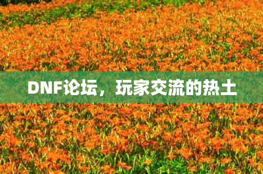 DNF论坛,玩家交流的热土 DNF论坛,玩家交流的热土