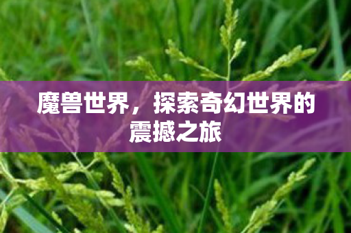 魔兽世界，探索奇幻世界的震撼之旅