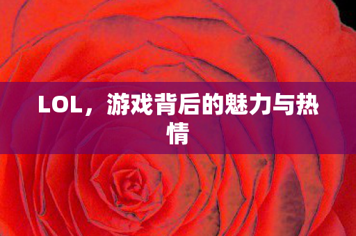 LOL，游戏背后的魅力与热情