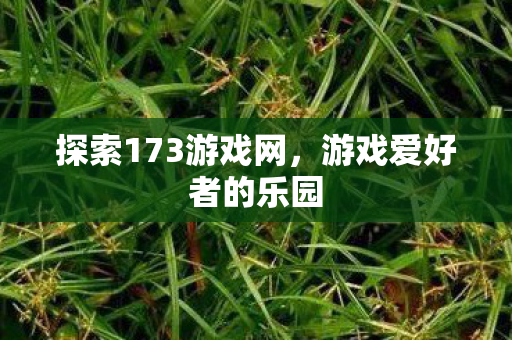 探索173游戏网，游戏爱好者的乐园