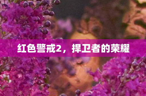 红色警戒2，捍卫者的荣耀