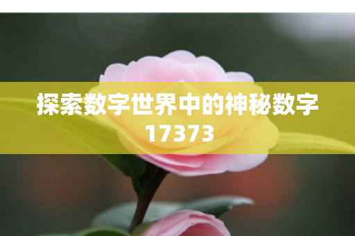 探索数字世界中的神秘数字17373