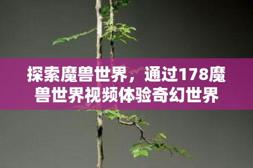 探索魔兽世界，通过178魔兽世界视频体验奇幻世界