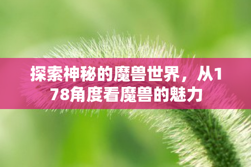 探索神秘的魔兽世界，从178角度看魔兽的魅力