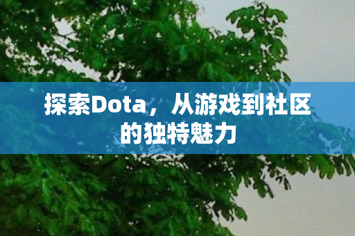探索Dota，从游戏到社区的独特魅力
