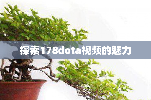 探索178dota视频的魅力