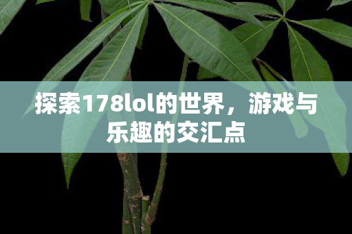 探索178lol的世界,游戏与乐趣的交汇点 探索178lol的世界,游戏与乐趣的交汇点