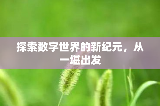 探索数字世界的新纪元，从一堪出发