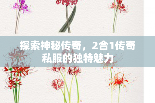 探索神秘传奇，2合1传奇私服的独特魅力