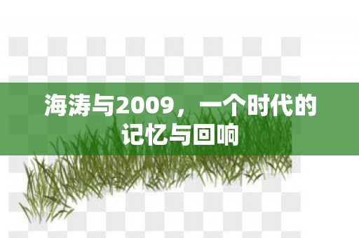 海涛与2009，一个时代的记忆与回响