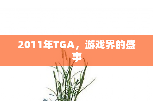 2011年TGA，游戏界的盛事