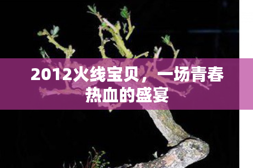 2012火线宝贝，一场青春热血的盛宴