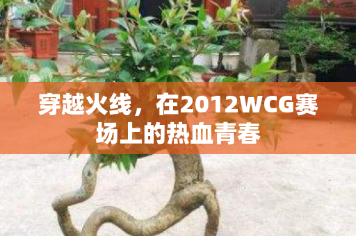 穿越火线,在2012WCG赛场上的热血青春 穿越火线,在2012WCG赛场上的热血青春